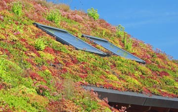 Brereton Green living roof systems