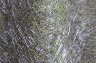 Brereton Green fibreglass roof work